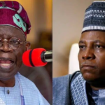 Tinubu Means Well for Nigerians, North – Shettima | Daily Report Nigeria