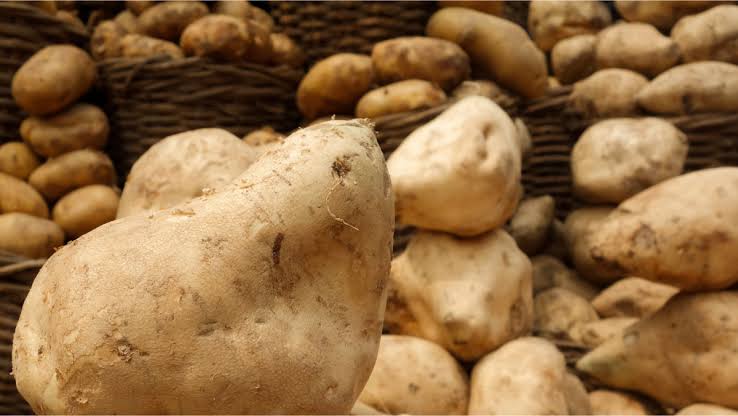 Nigeria Will Be Among World’s Top Three Potato Producers by 2025 - Minister | Daily Report Nigeria