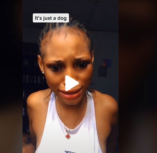 'I Was Just Catching Cruise, Forgive me,' Lady Who Claimed Intimacy With Dogs For N1.5m Begs | Daily Report Nigeria