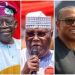 2023 : PDP Drags INEC to Court, Seeks Peter Obi, Bola Tinubu Disqualification | Daily Report Nigeria