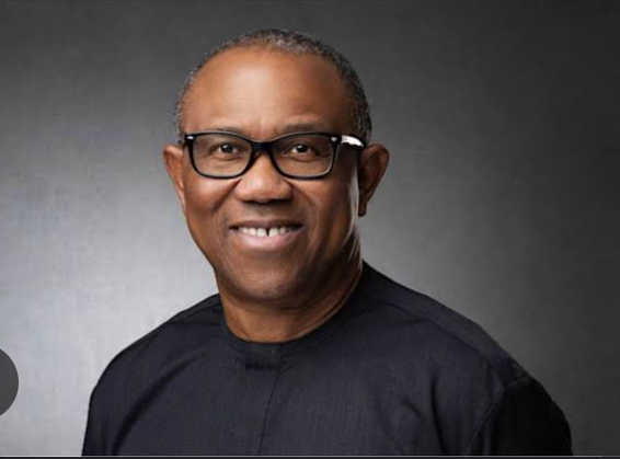 2023: Peter Obi Promises No Strike in Varsities If Elected | Daily Report Nigeria